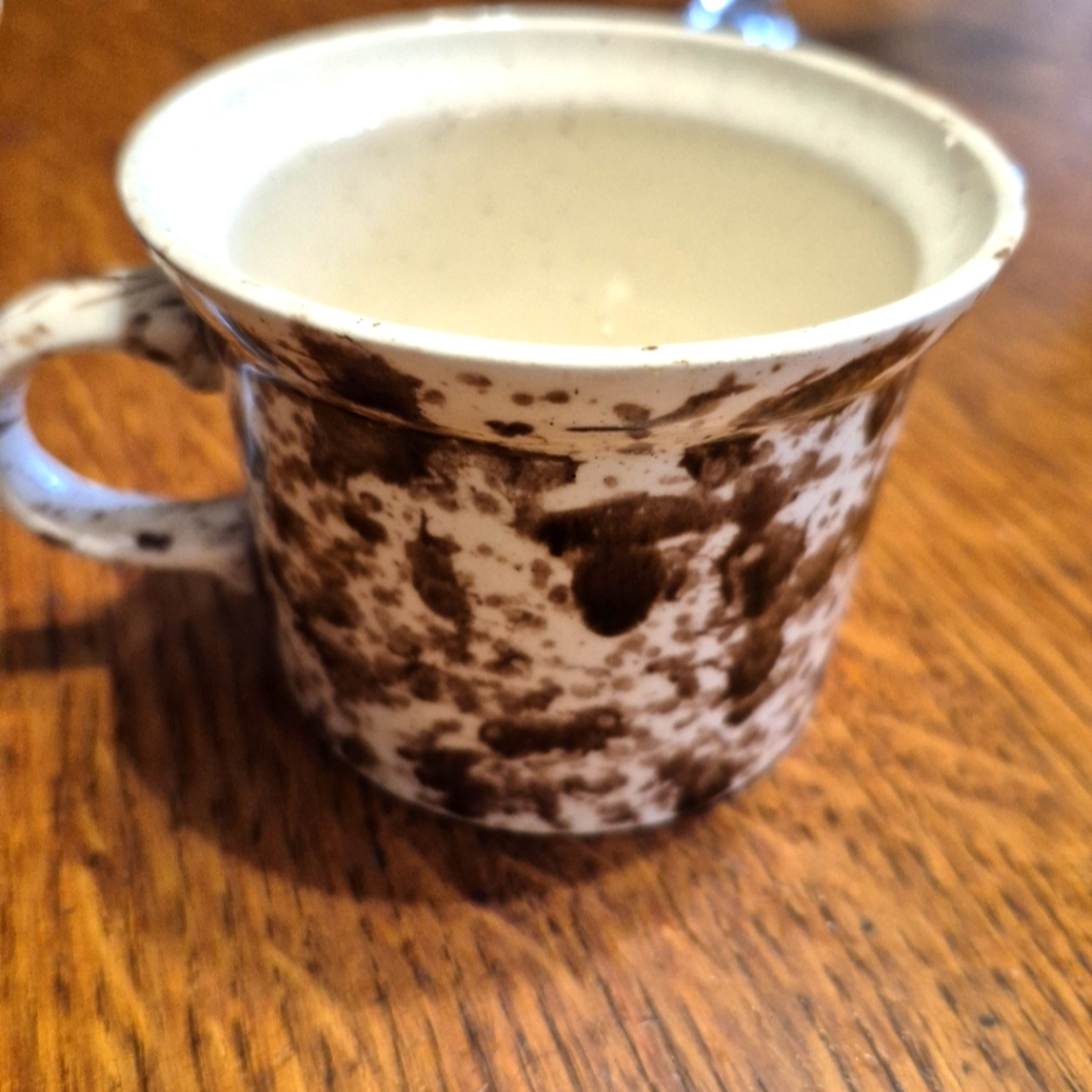 Speckled Ceramic Mug and Bowl - Brown and White